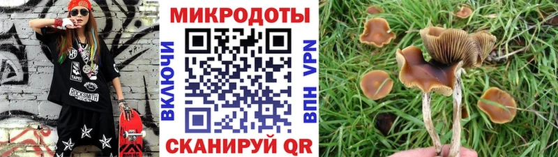 Галлюциногенные грибы ЛСД  Лагань 