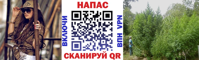Бошки Шишки конопля  Лагань 